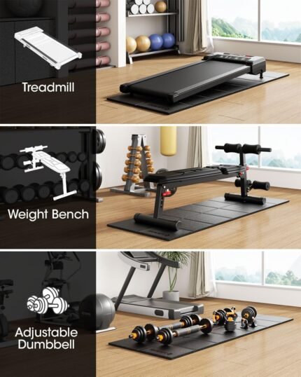 exercise & equipment