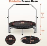 Exercise & Equipment - Image 8