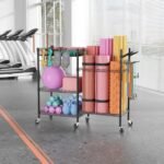 exercise & equipment