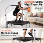 Exercise & Equipment - Image 4