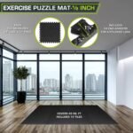 Exercise & Equipment - Image 2