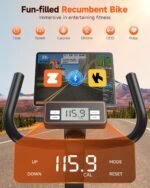 exercise & equipment