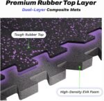 exercise & equipment