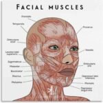 health & personal care