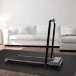 exercise & equipment