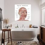 health & personal care