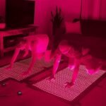 health & personal care