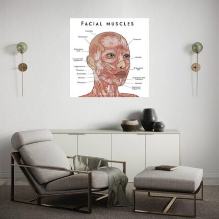 health & personal care