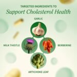 health & wellness