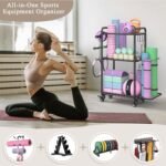 exercise & equipment