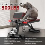 exercise & equipment