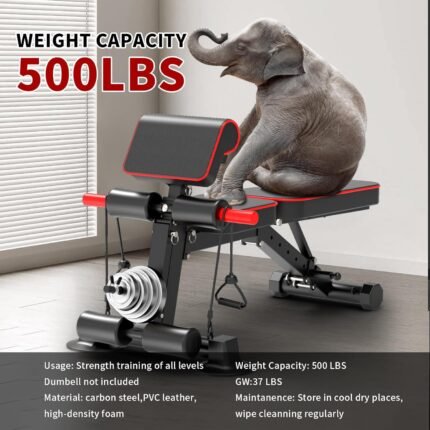 exercise & equipment