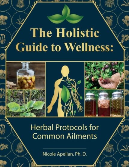 health & wellness