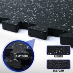 exercise & equipment