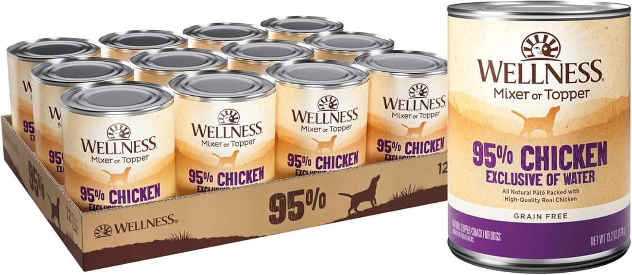 health & wellness