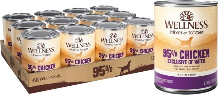 health & wellness