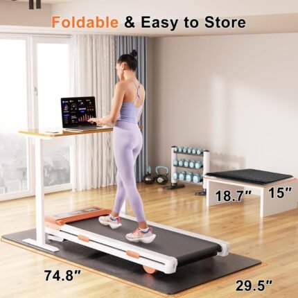 exercise & equipment