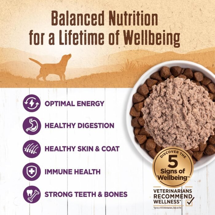 health & wellness
