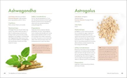 health & wellness