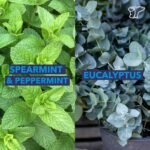 health & personal care