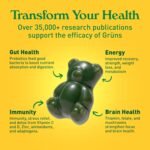 health & wellness