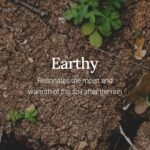 health & personal care