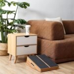 exercise & equipment