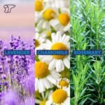 health & personal care