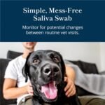 health & personal care