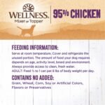 health & wellness