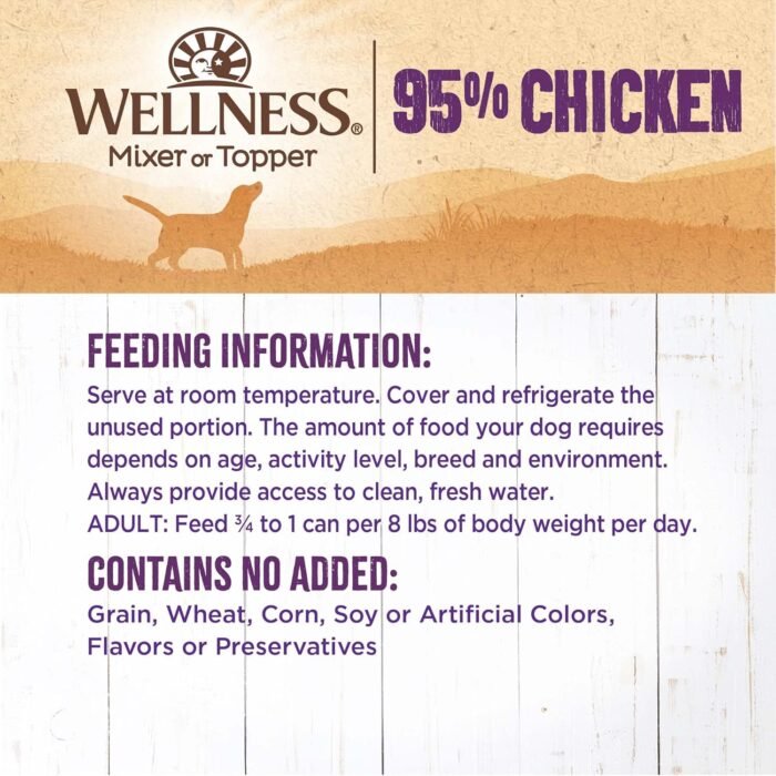 health & wellness