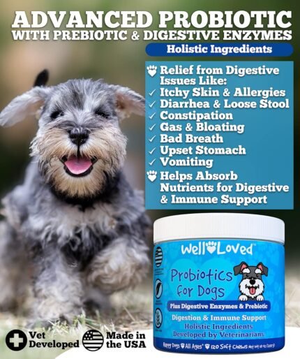health & wellness