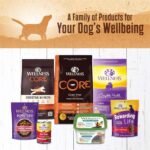 health & wellness