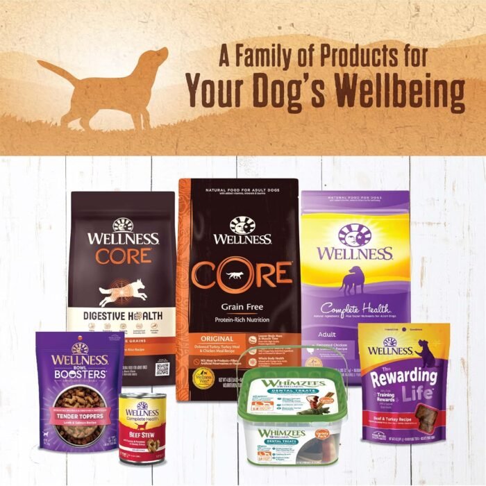 health & wellness