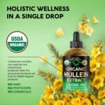 health & wellness